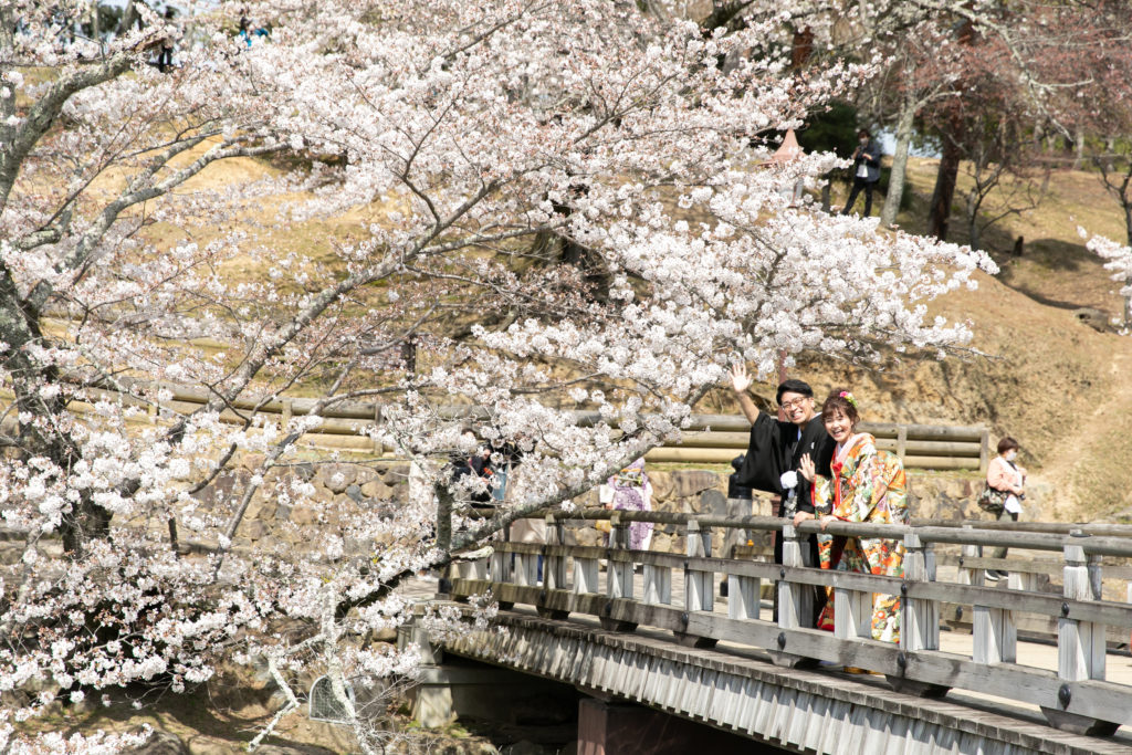 I ご夫妻　桜の前撮り編 写真