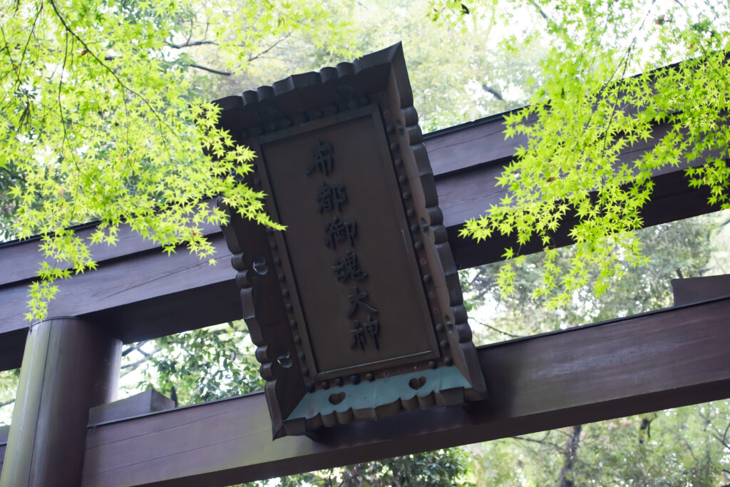 石上神宮：白無垢が映える秋の神社婚 写真